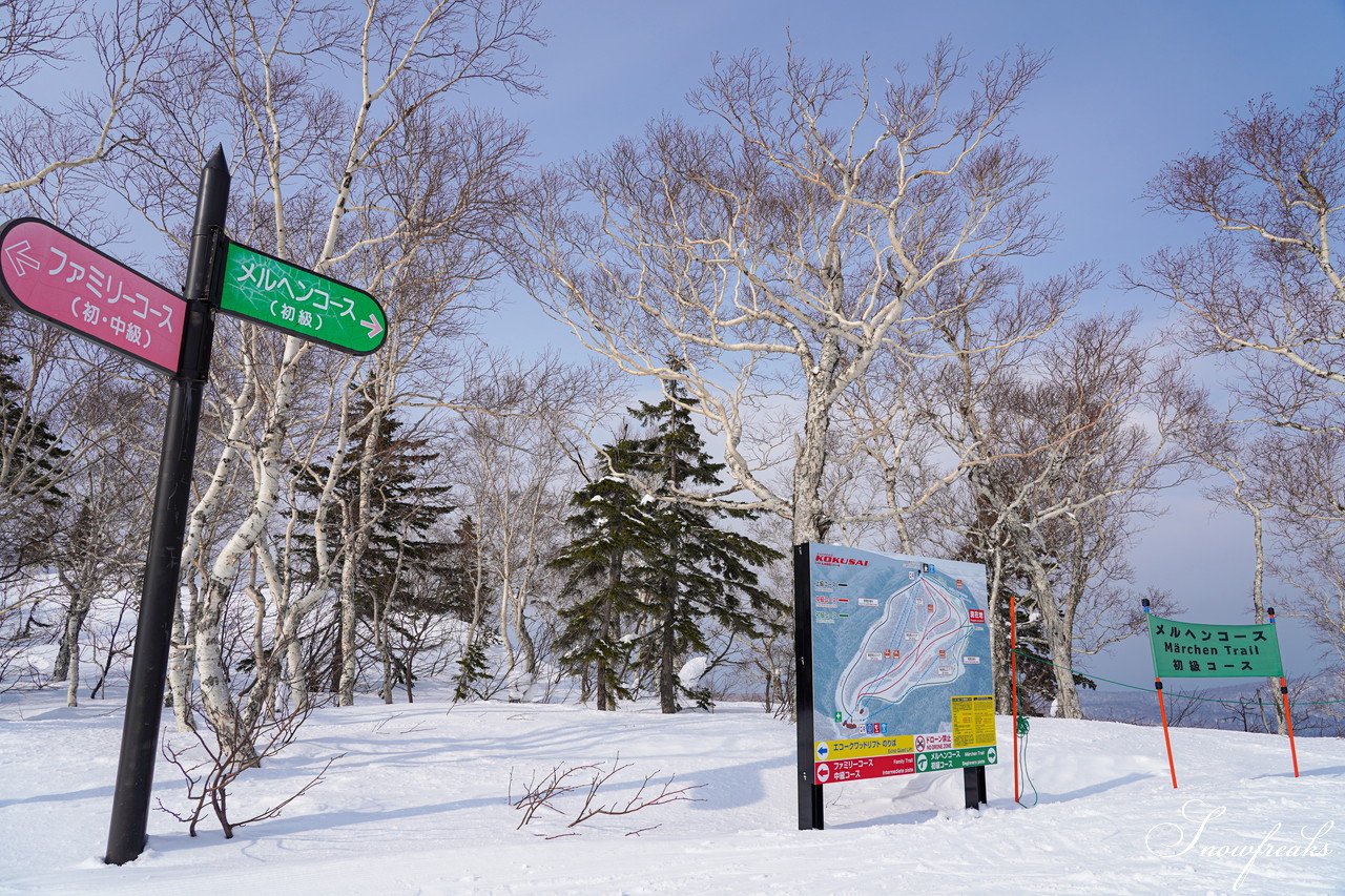 札幌国際スキー場 積雪たっぷり 300cm。コンディション良好なゲレンデでモーグル女子 ・畑田繭さんとコブコブセッション！